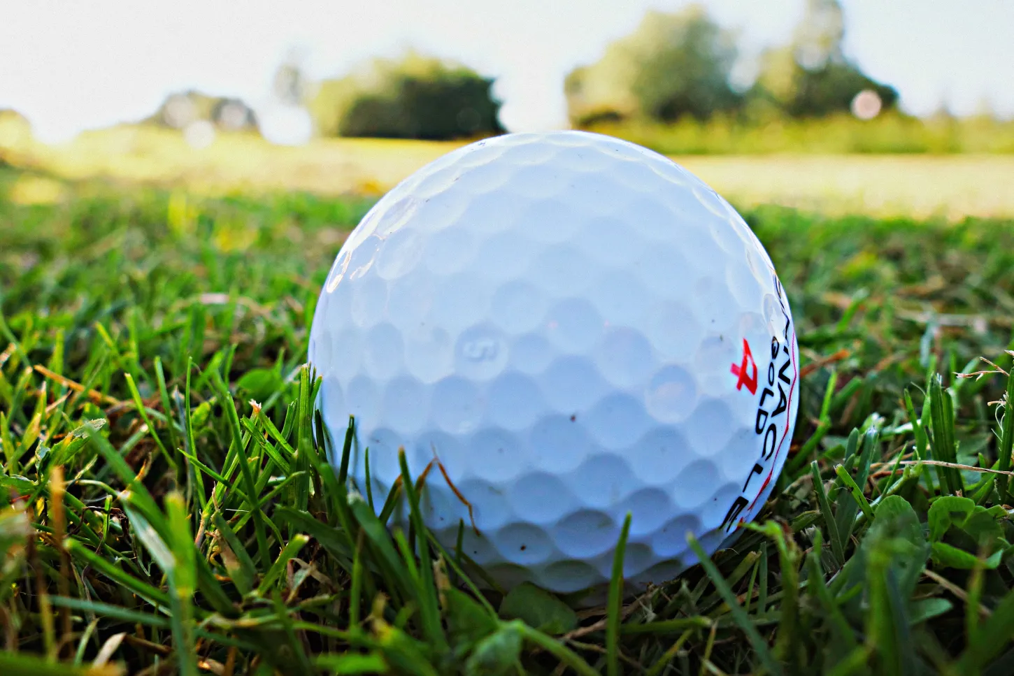 A Round of Golf for the Greater Good